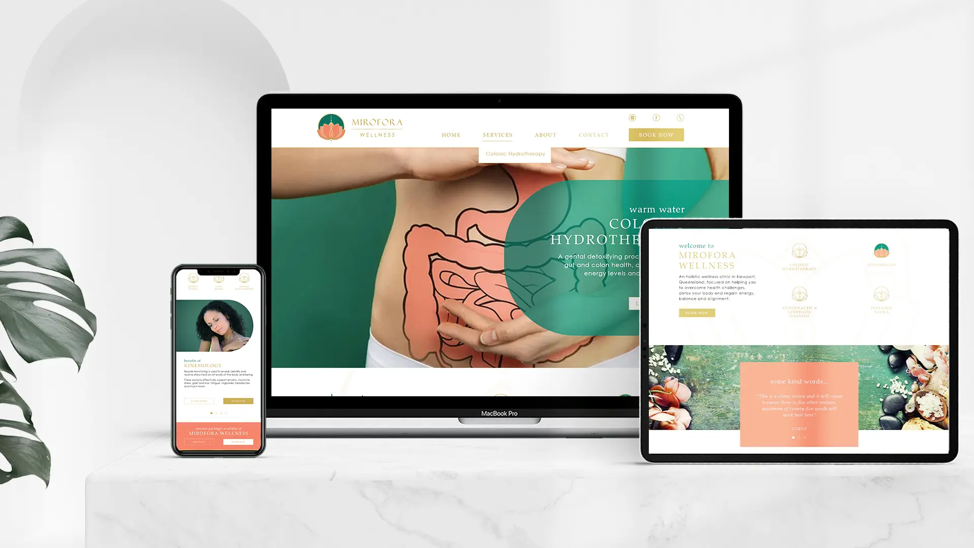 Kinesiology Website Development